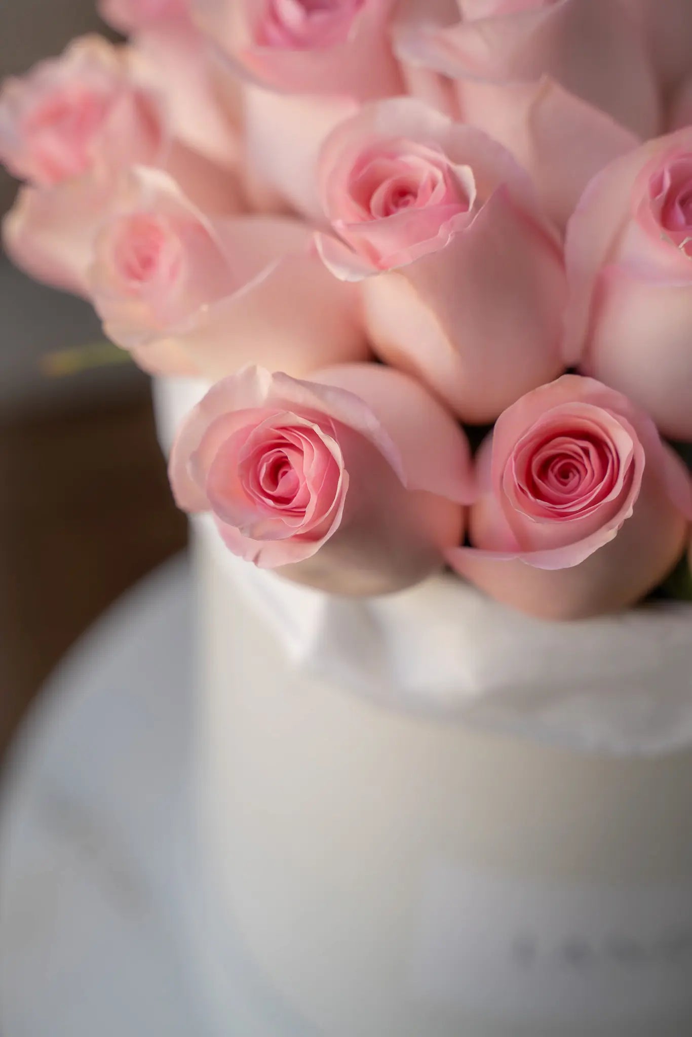 pink roses in a box