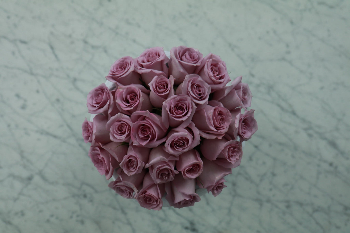 Lanval - Luxury Purple Roses, Delivered in Our Signature Box
