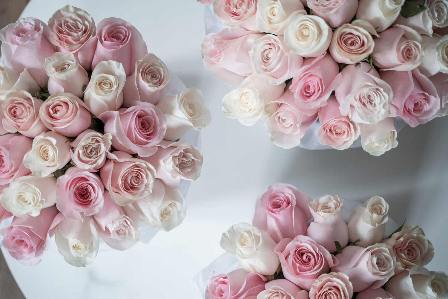 Luxury Rose Delivery in Vancouver