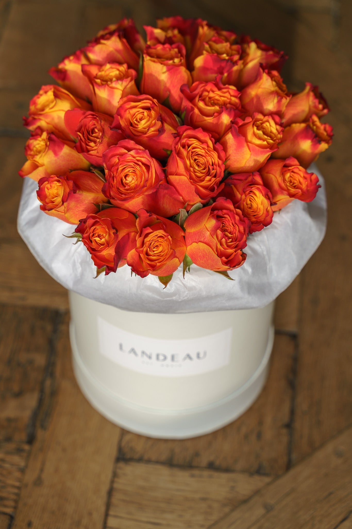 bright orange roses in our hat box