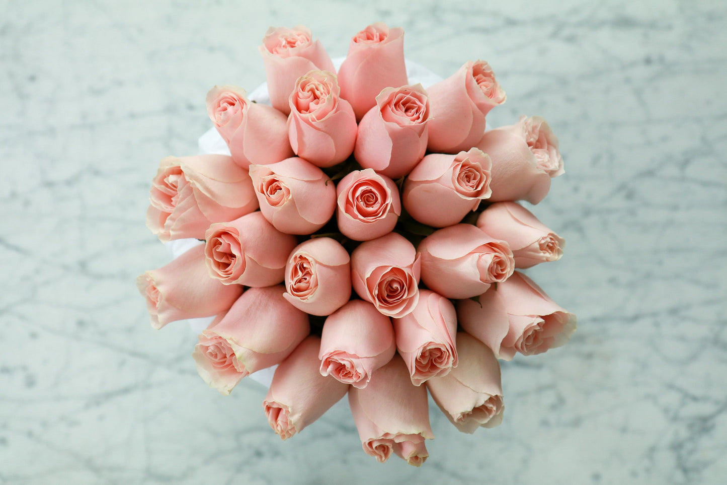 Rosé - Luxury Pink Roses, Delivered in Our Signature Box