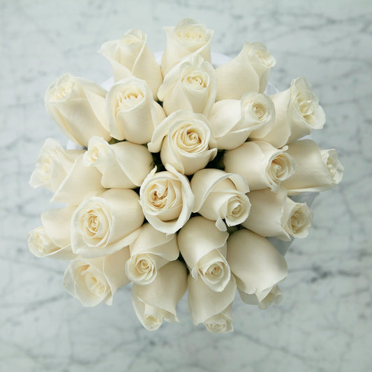 Pure white roses arranged in signature gift box